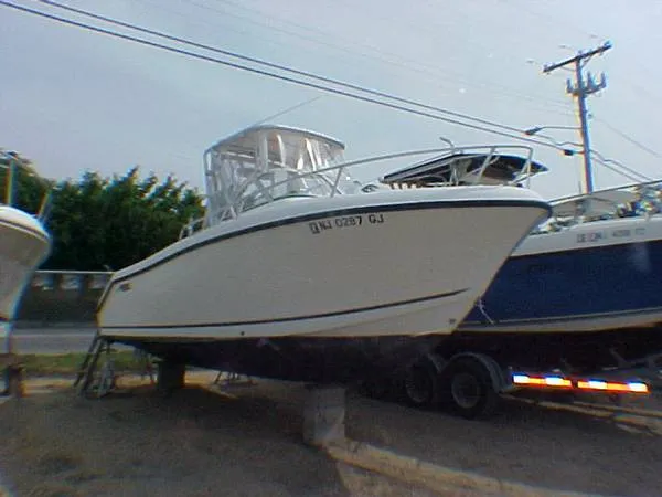Slide: The Image of Mako 233 W/A 1999 - 0