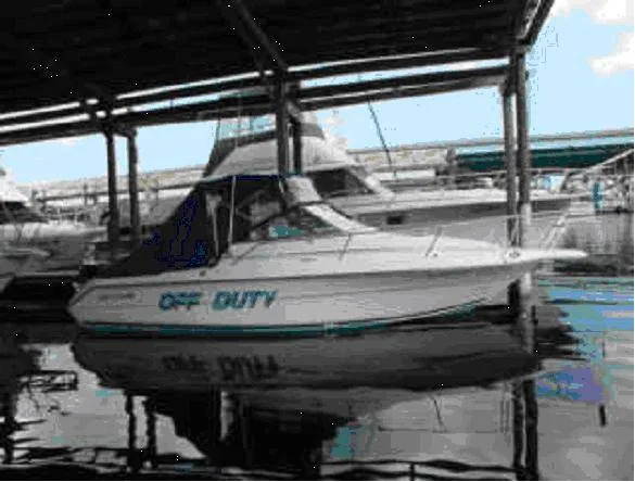 Slide: The Image of Sea Ray LAGUNA 24- 1995 1995 - 0