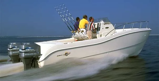 Slide: The Image of World Cat 266 SF 2002 - 2