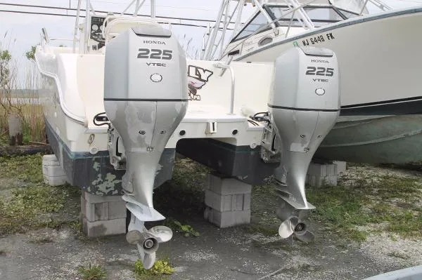 Slide: The Image of World Cat 266 SF 2002 - 5