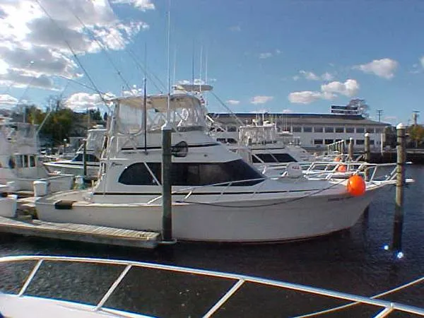 Slide: The Image of Egg Harbor Golden Egg 1990 - 0
