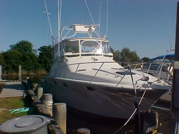 Slide: The Image of Luhrs SPORT FISHERMAN-1983 1983 - 2