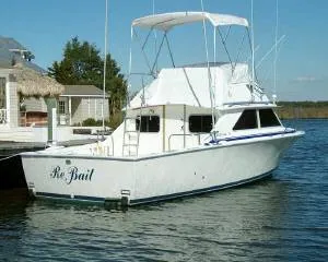 Slide: The Image of Bertram 28 Flybridge CRUISER 1973 - 0