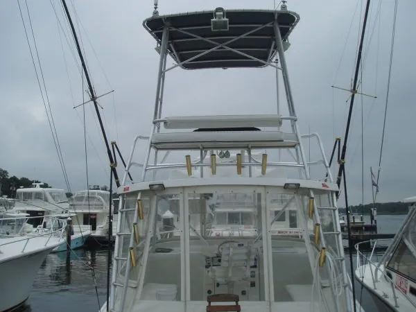Slide: The Image of Luhrs Open Fish 1994 - 2