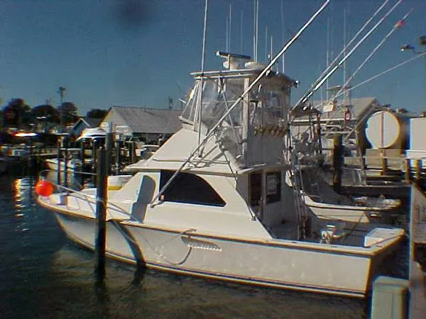 Slide: The Image of Bertram Sport Fisherman 1978 - 0
