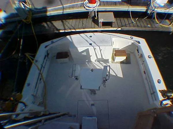 Slide: The Image of Bertram Sport Fisherman 1978 - 3