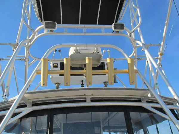 Slide: The Image of Carolina 28 2000 - 10