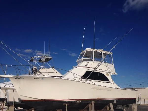 Slide: The Image of Jersey Sportfish 1988 - 0
