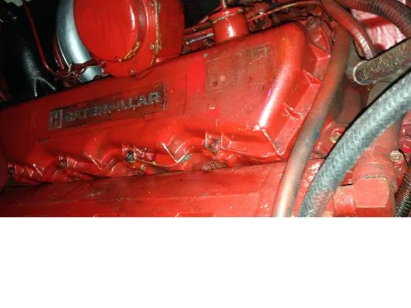 Slide: The Image of Jersey Sportfish 1988 - 7