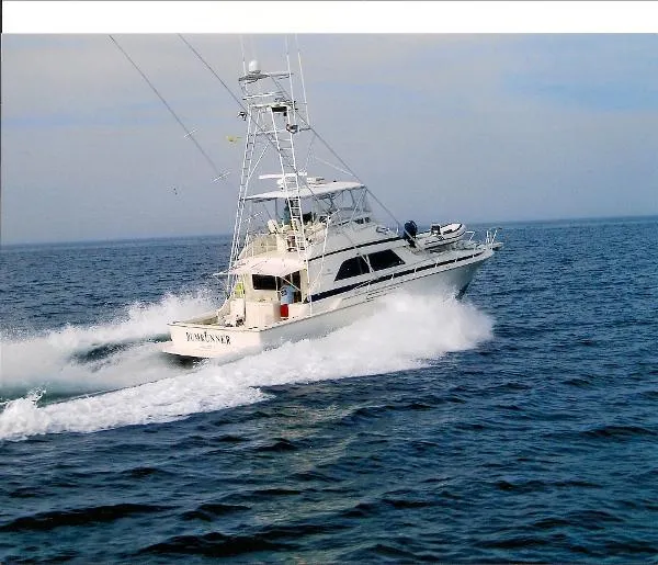Slide: The Image of Bertram 50 Convertible 1989 - 0
