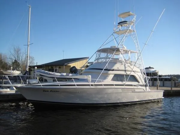 Slide: The Image of Bertram 50 Convertible 1989 - 5