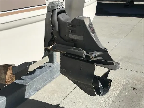 Slide: The Image of Chaparral Sunesta 1998 - 5