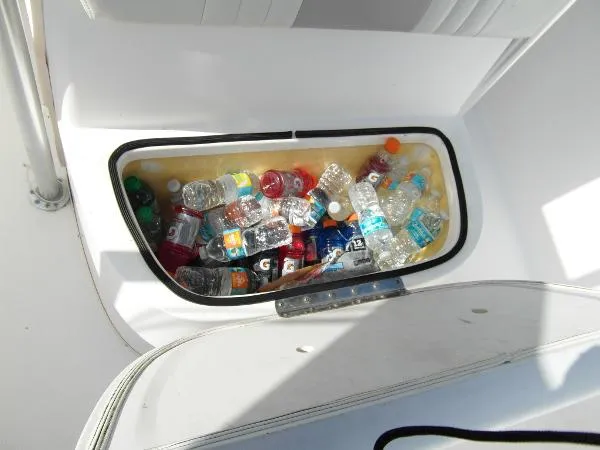 Slide: The Image of Cobia 254 Center Console 2004 - 11