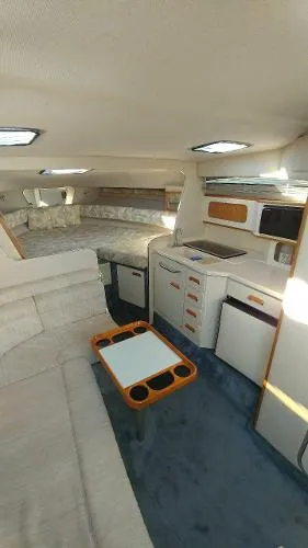 Slide: The Image of Sea Ray Sundancer 1992 - 9