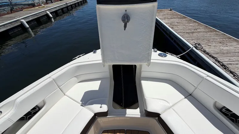Slide: The Image of Sea Ray SLX 310 2026 - 22