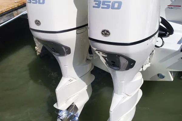 Slide: The Image of Sea-Lion Center Console 2019 - 9