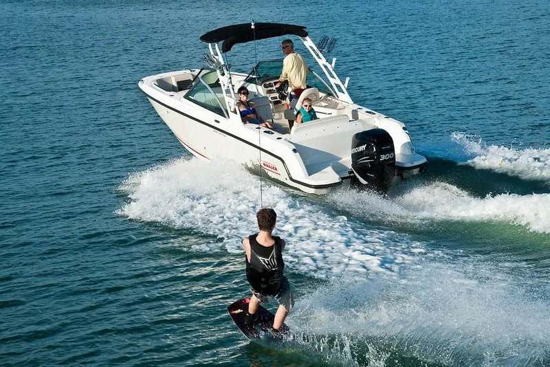Slide: The Image of 2019 Boston Whaler 230 Vantage boat with Mercury engine docked by the water. - 6