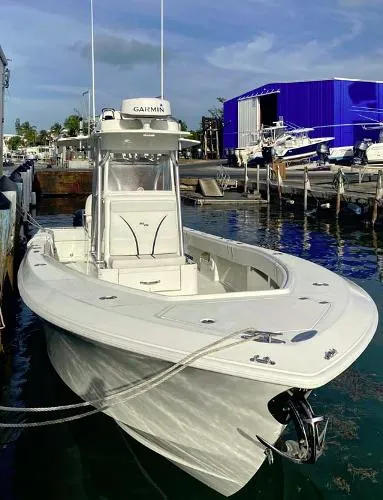 Slide: The Image of SeaVee 320B 2017 - 3