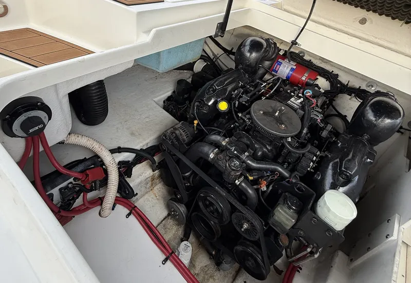 Slide: The Image of Sea Ray 260 Sundeck 2012 - 22