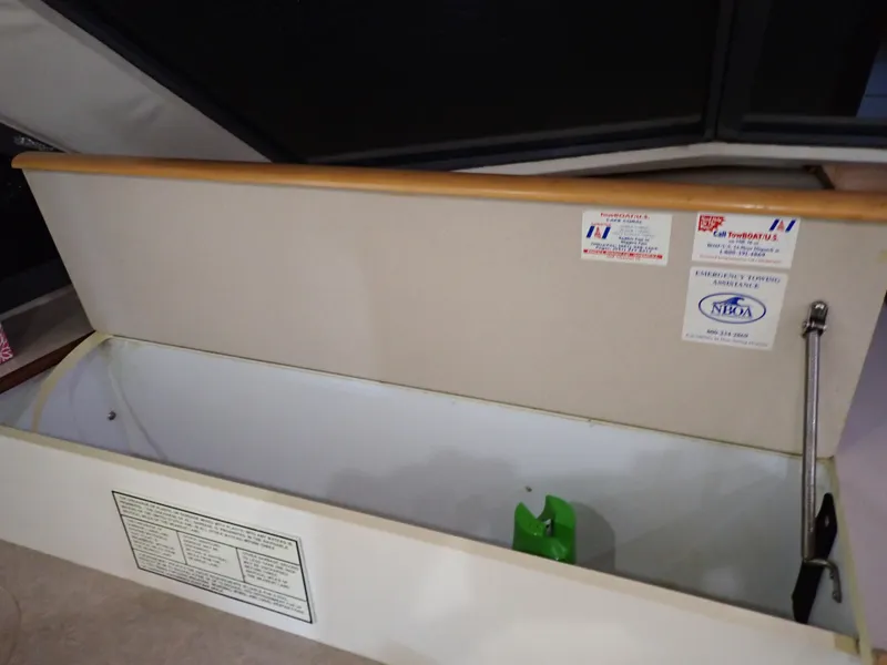 Slide: The Image of Carver 370 Voyager 1996 - 87