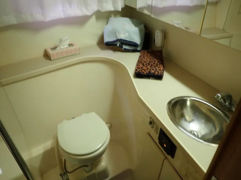 Slide: The Image of Carver 370 Voyager 1996 - 95