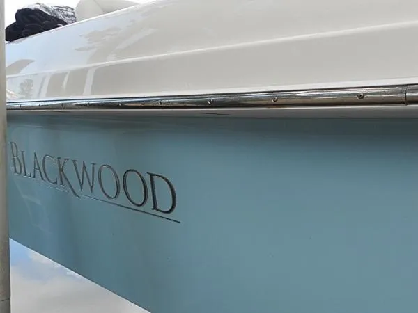 Slide: The Image of Blackwood CC 2016 - 6