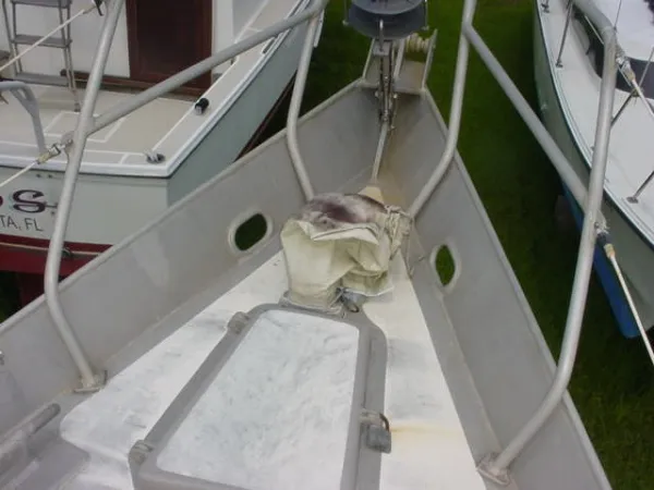 Slide: The Image of Group Pinot Sloop 1986 - 5