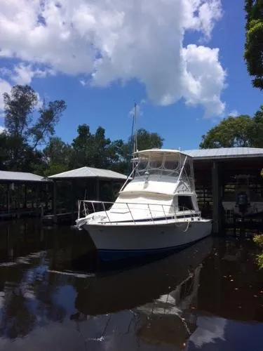 Slide: The Image of Bertram Flybridge Cruiser 1983 - 0