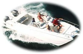 Slide: The Image of World Cat 246 DC 2001 - 0