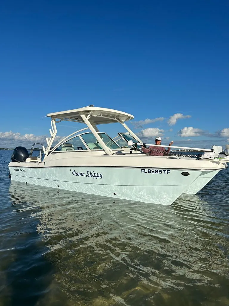 The Image of World Cat 230 DC 2022 - 0