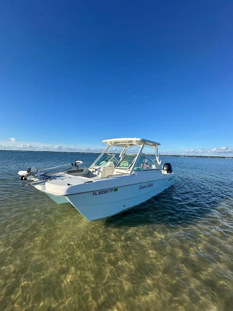 Slide: The Image of World Cat 230 DC 2022 - 10