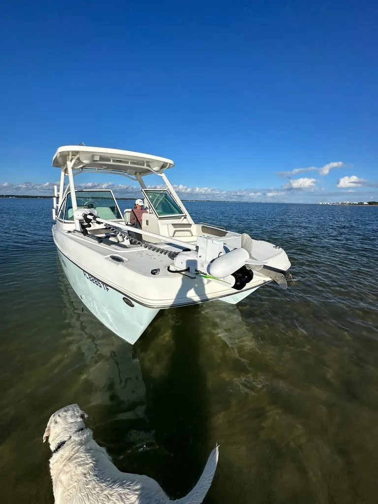 Slide: The Image of World Cat 230 DC 2022 - 11