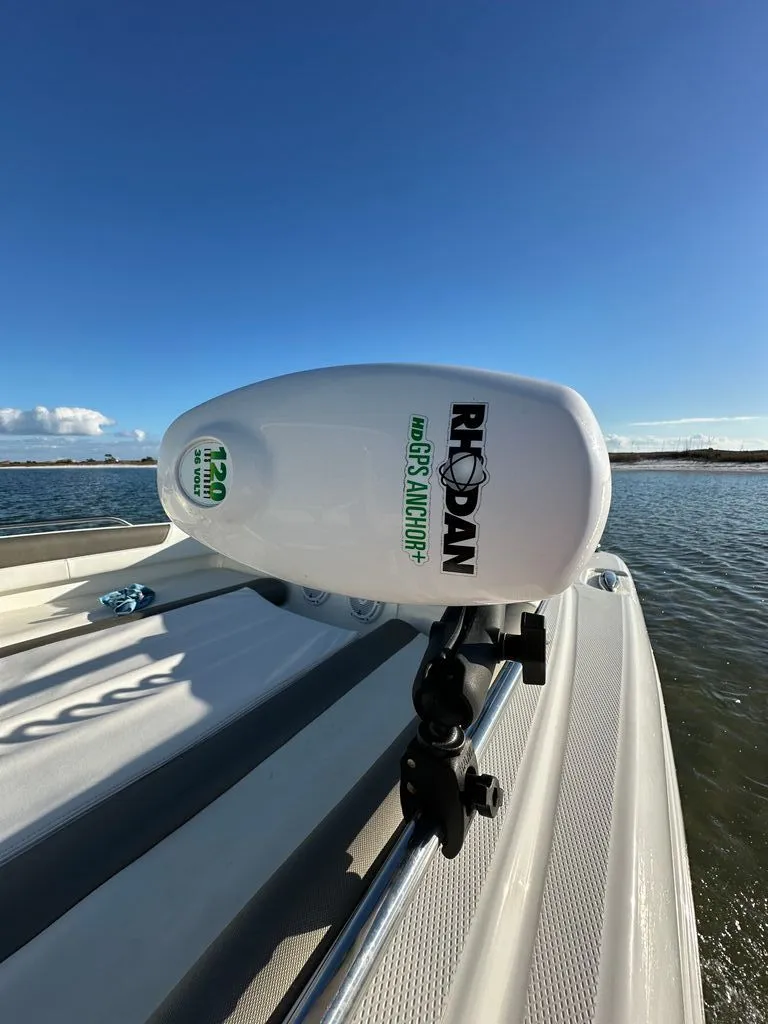 Slide: The Image of World Cat 230 DC 2022 - 12