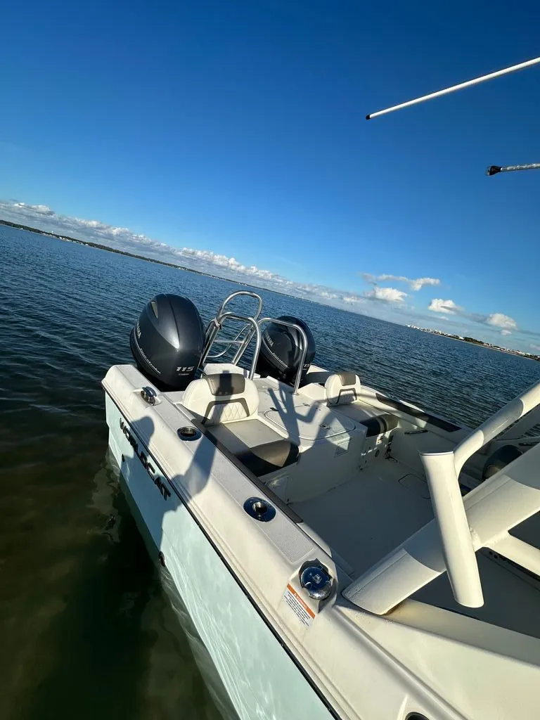 Slide: The Image of World Cat 230 DC 2022 - 2