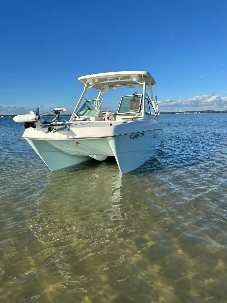 Slide: The Image of World Cat 230 DC 2022 - 5