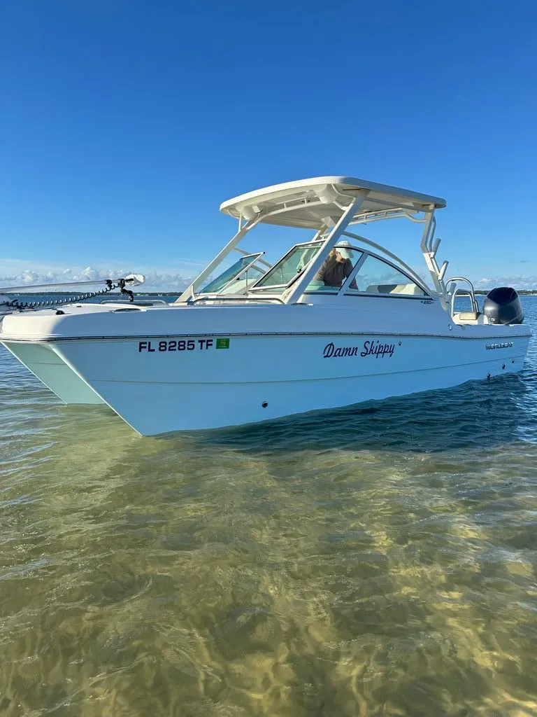 Slide: The Image of World Cat 230 DC 2022 - 6