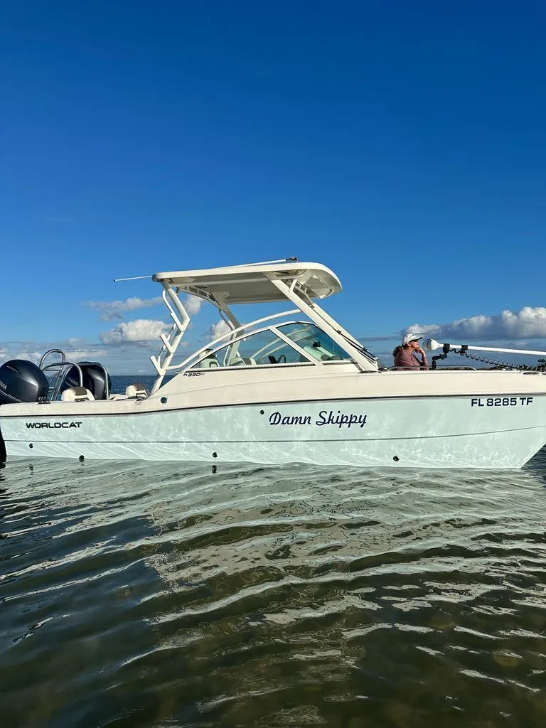 Slide: The Image of World Cat 230 DC 2022 - 7