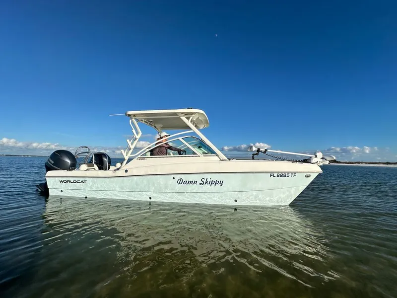 Slide: The Image of World Cat 230 DC 2022 - 8