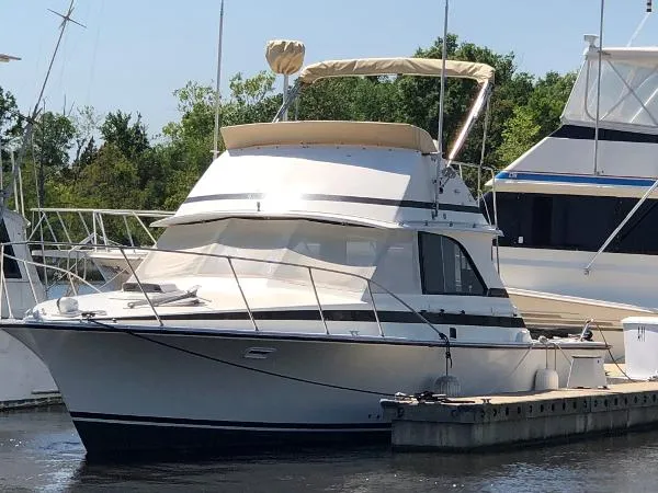 Slide: The Image of Bertram 35 Convertible 1980 - 1