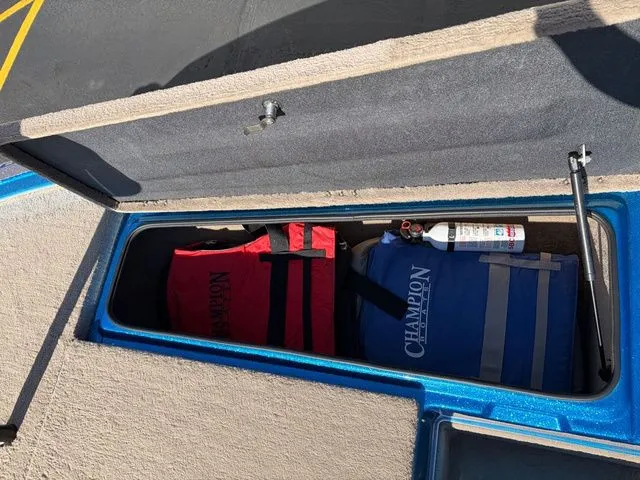 Slide: The Image of Champion DCX 187 Elite 1999 - 17