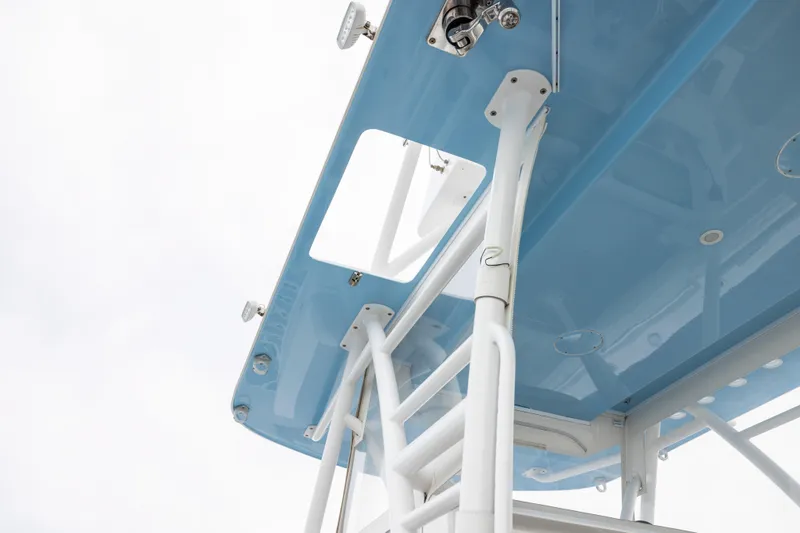 Slide: The Image of 2020 Invincible 40 Catamaran, blue canopy and white ladder detail against cloudy sky. - 18