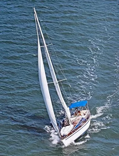 Slide: The Image of Kalik SLOOP 1981 - 1