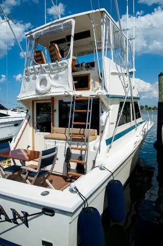 Slide: The Image of Viking 35 FT Convertible (Diesel Power!) 1986 - 5