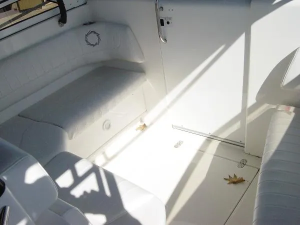 Slide: The Image of Fountain 38 LX 2009 - 7