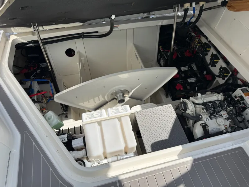 Slide: The Image of Sea Ray Sundancer 320 Outboard 2023 - 29