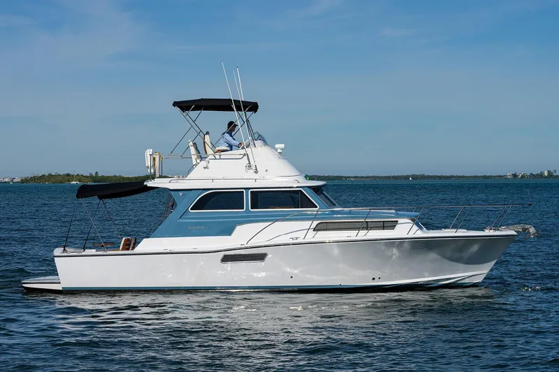 The Image of Bertram 38 - FIELD & SEA - Starboard Profile - 0