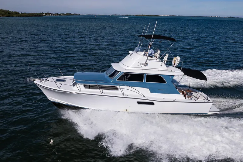 Slide: The Image of Bertram 38 - FIELD & SEA - - 10