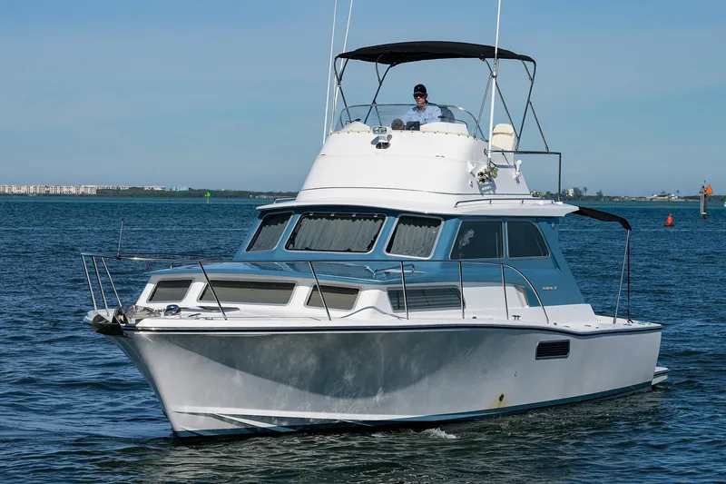 Slide: The Image of Bertram 38 - FIELD & SEA - - 53