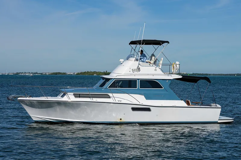 Slide: The Image of Bertram 38 - FIELD & SEA - - 56