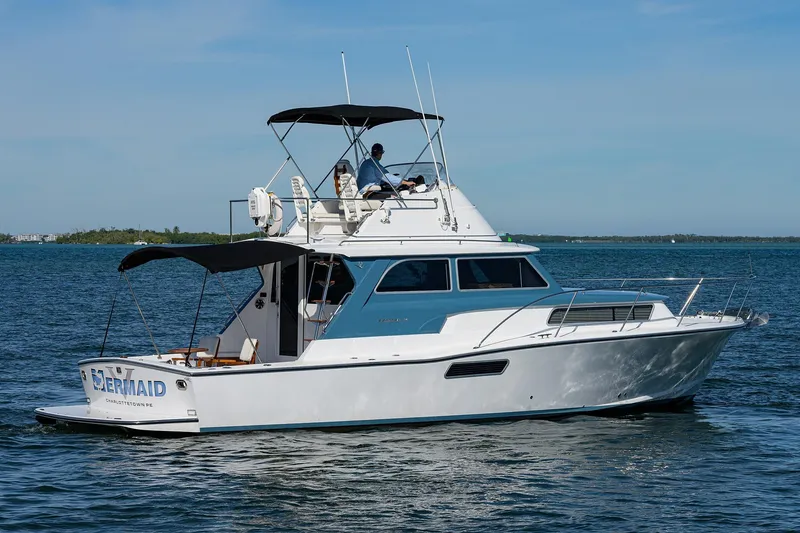 Slide: The Image of Bertram 38 - FIELD & SEA - - 61